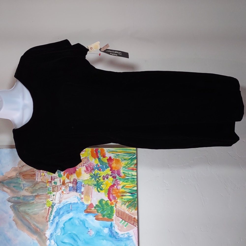 Late Edition Ltd Petite Velvet V Back Dress